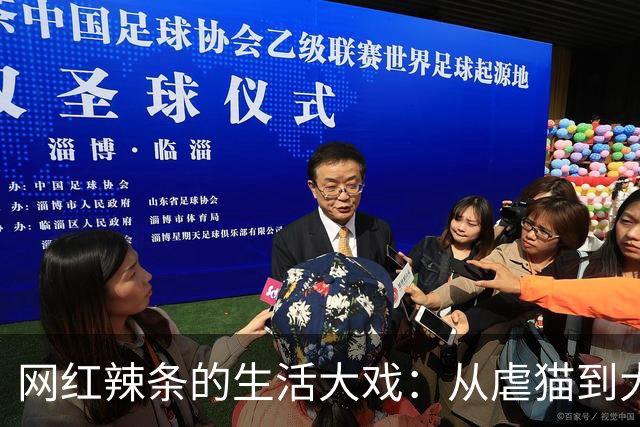 网红辣条的生活大戏：从虐猫到大乱斗